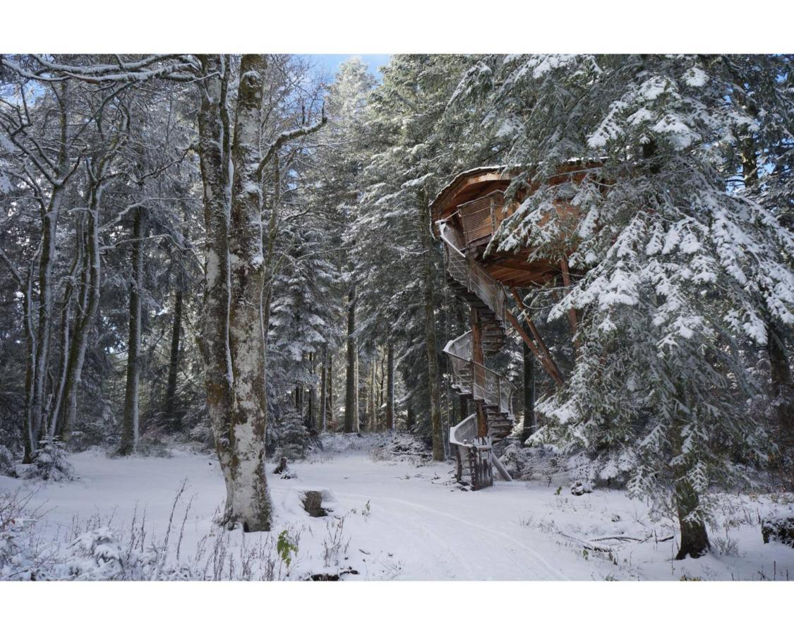 Cabanes Des Volcans La Tour-dʼAuvergne Exterior foto